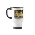 Tibetan Spaniel mugs