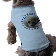 Tibetan Spaniel Puppy Pet Shirt