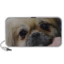 Tibetan Spaniel Puppy Speakers