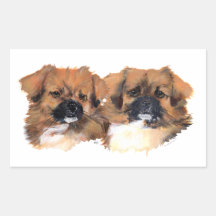 Tibetan Spaniels Head Study Rectangle Stickers