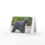 Tibetan Terrier cards