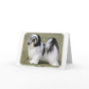 Tibetan Terrier cards