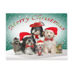 Tibetan Terrier Christmas With Friends postcards