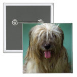 Tibetan Terrier Pins