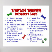 TIBETAN TERRIER PL2 PRINT