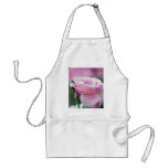 Tickled pink rose and meaning aprons