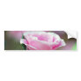 Tickled pink rose and meaning bumper stickers