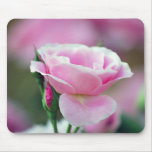 Tickled pink rose and meaning mousepads