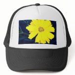 Tickseed (Coreopsis verticillitata) Mesh Hat