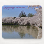 Tidal Basin, Cherry Blossoms, Washington DC Mouse Pads