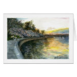 Tidal Basin in D.C Cards