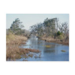 Tidal Wetlands Buxton NC OBX Postcard