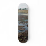 Tidepools Ocean Beach Cliffs skateboards