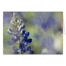 Tie-Dyed Greeting Cards