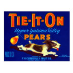 Tie It On Pears Postcard