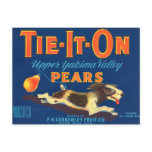 Tie-It-On Pears Vintage Advertisement Postcard