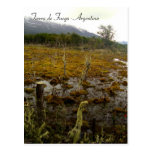 Tierra del Fuego - Argentina Post Cards