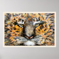 Tig The Tiger