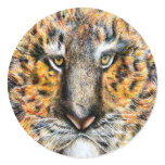 Tig The Tiger stickers