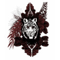 tiger 2 t-shirts