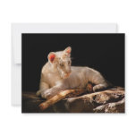 Tiger -  A baby snow tiger invitations