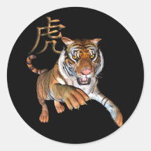 Tiger and Chinese Symbol Round Stickers