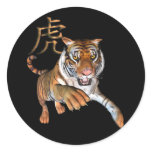 Tiger and Chinese Symbol