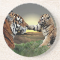Tiger and Cub Coaster