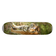 Tiger_Aroara004 Custom Skate Board