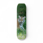 Tiger_Aroara011 skateboards