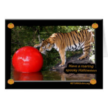 Tiger_Aroara034 Greeting Cards