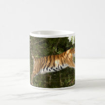 Tiger_Aroara059 Coffee Mugs