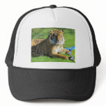 tiger at the zoo trucker hat
