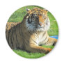 tiger at the zoo refrigerator magnet