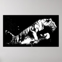 Tiger Attacking Poster Print - Tiger Black & White