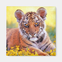 Tiger Baby Cub Refrigerator Magnets