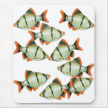 Tiger Barbs Tropical Fish Mousepad