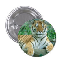 Tiger Beauty Pinback Buttons