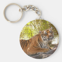Tiger Bengali 003 Keychain