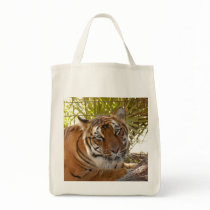 Tiger Bengali 004 Canvas Bag