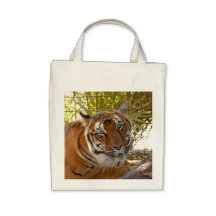 Tiger Bengali 004 Canvas Bag