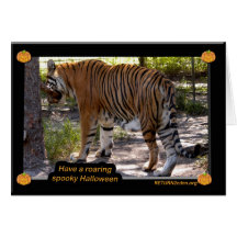 Tiger Bengali 005 Cards