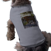 Tiger Bengali 005 Dog T Shirt