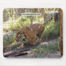 Tiger Bengali 006 copy Mouse Pad