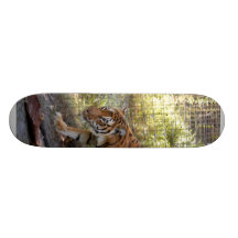 Tiger Bengali 006 Skate Deck