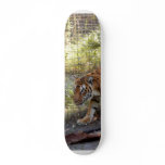 Tiger Bengali 006 Skate Boards