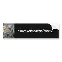 Tiger bumper stickers