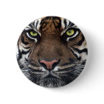 Tiger buttons
