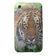 Tiger Case-Mate iPhone 3 Case