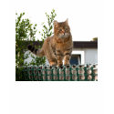 tiger cat  T-shirt